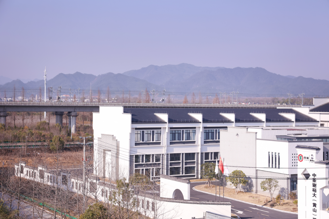 1674112251176215.png image.png